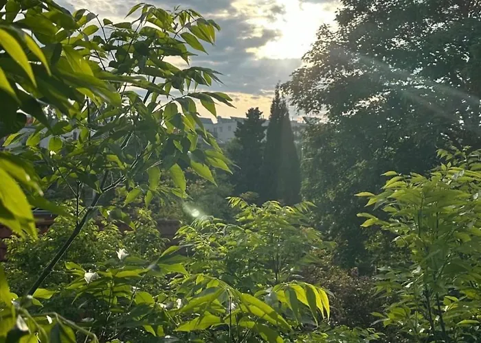 Modern Downtown ブダペスト